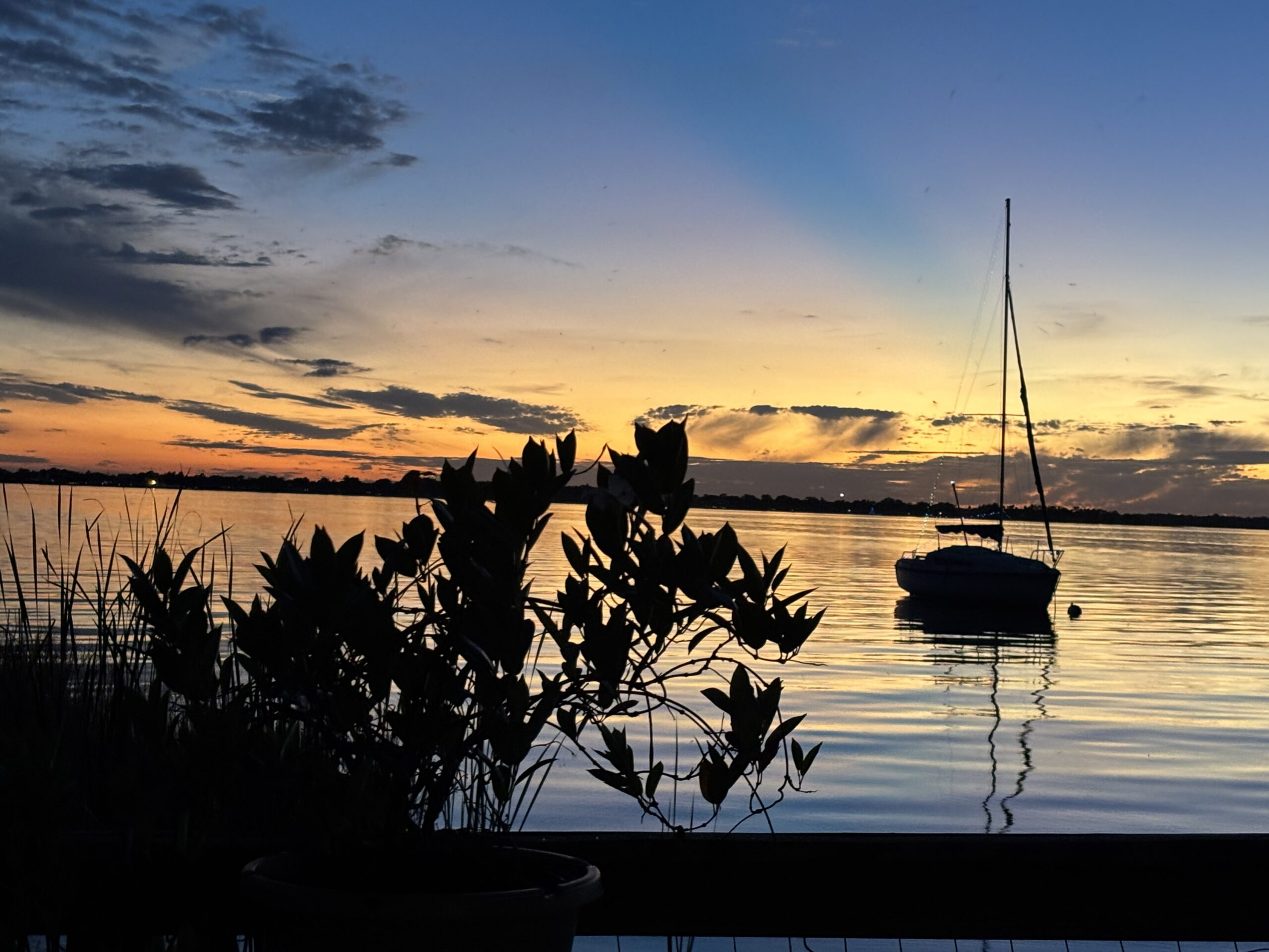 Florida waterfront at sunset with a sailboat